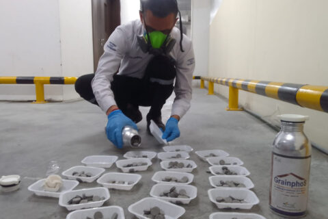 Fumigation with Aluminium Phosphide