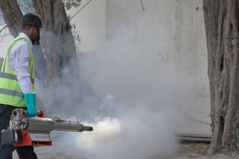 Thermal Fogging