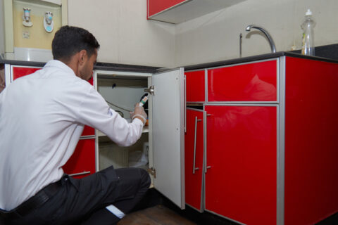 Pest control Bahrain expatriates