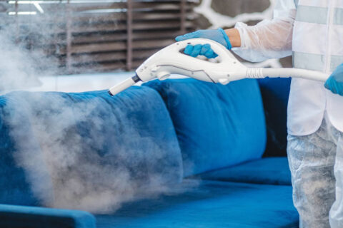 Disinfection & Sanitization Services