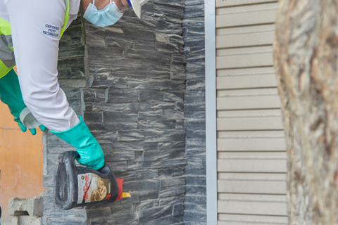 Snake & Scorpios Control